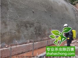 深圳白蟻防治公司獨(dú)家報(bào)道，殺白蟻-滅白蟻的最新方法